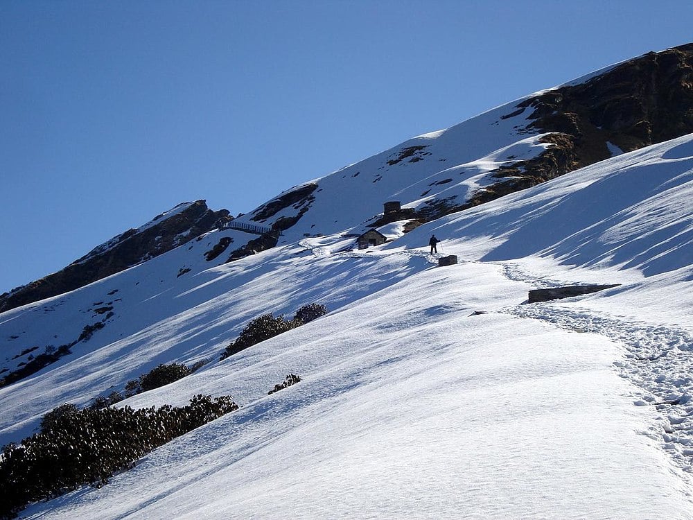 Scenic view of Chopta